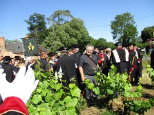Corcoue_0026     