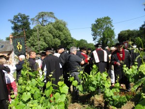 Corcoue_0027     